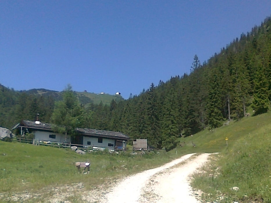 Thoraualm mit Abstecher Farnbödenalm + -Trail