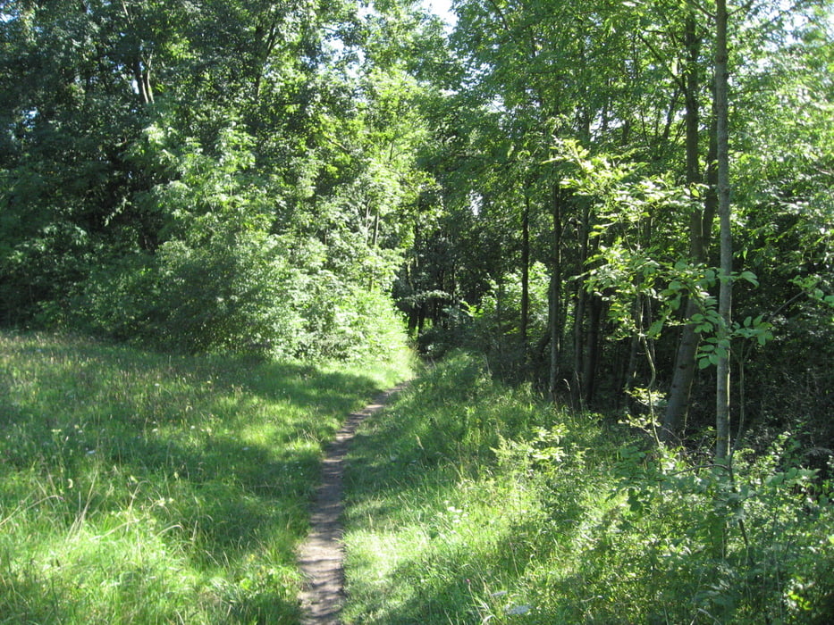 Trappertrail  Strullendorf - Friesen - Wernsdorf