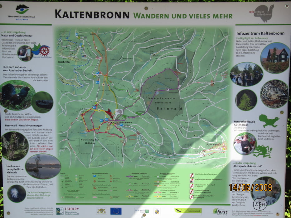 Kaltenbronn-Hochmoor