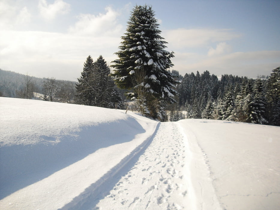 Scheidegg-Möggers-Riedstüble