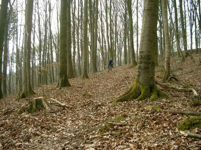 Trailtour durch den Stromberg