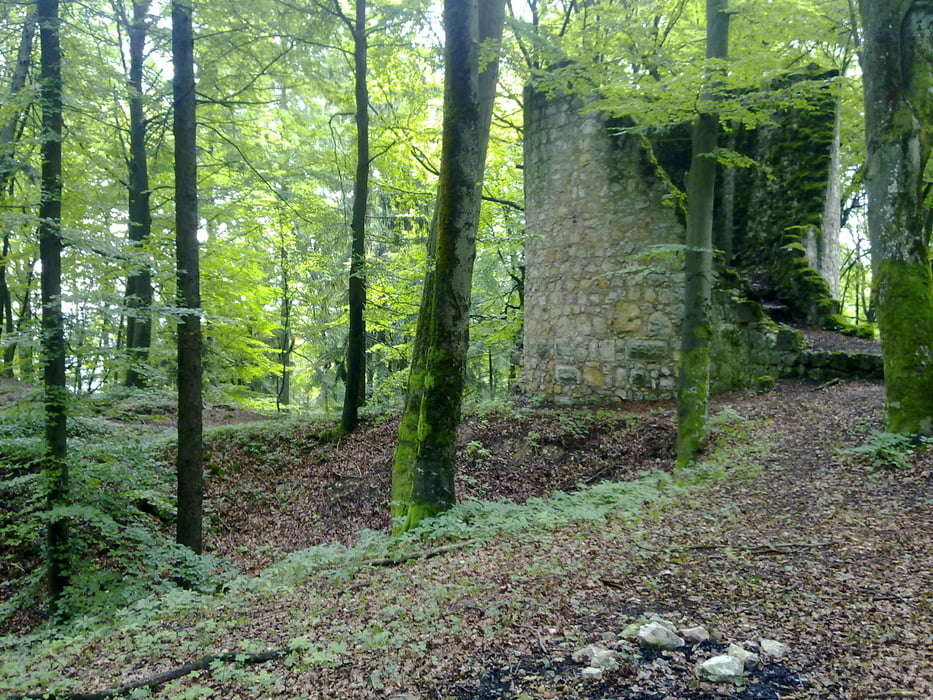 Nittendorf, Hemau, Burgruine Ehrenfels 