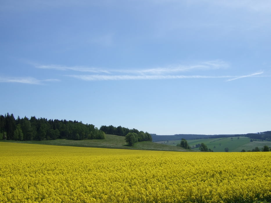 Grenzlandtour 2010