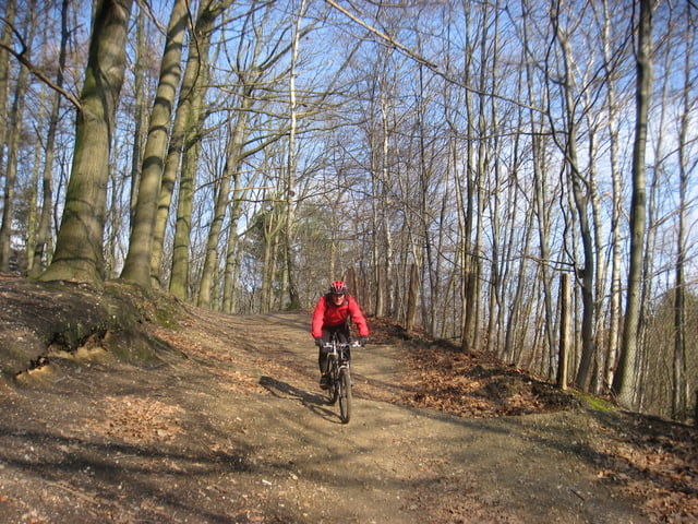 HvdH-60 "Neue Aaperwald / Grafenbergerwald-Runde mit 400 Höhenmeter"