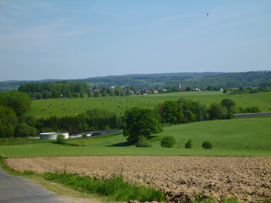Von Much nach Marienfeld