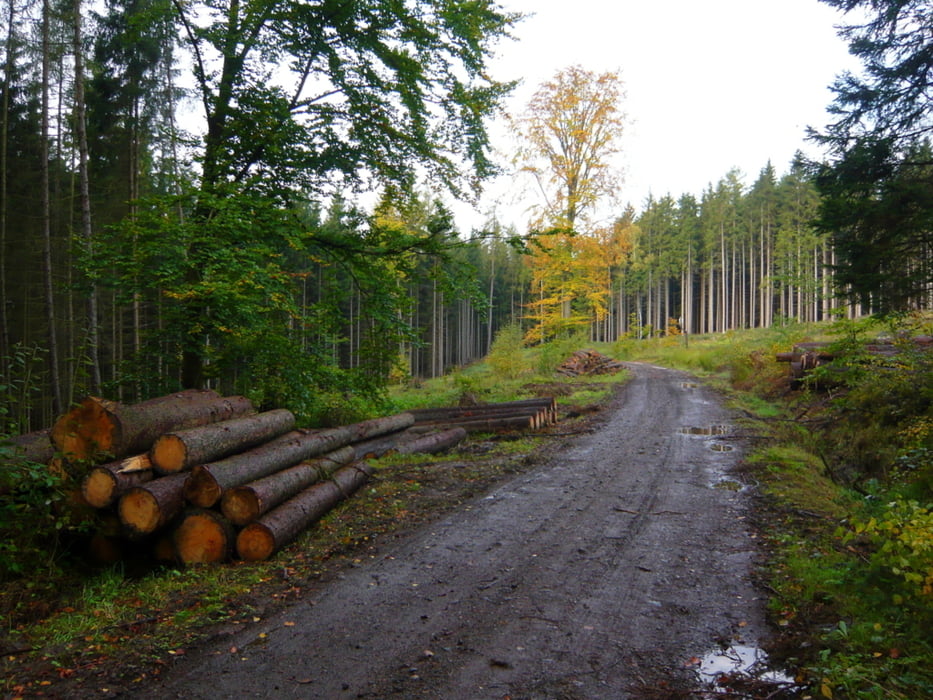 Okruh přes Radvanice,Horní Kostelec a Lhotu