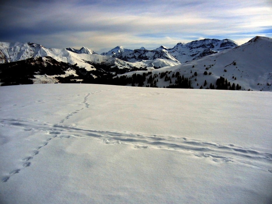 Skitour Wistätthore