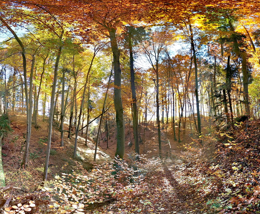 Von Altdorf nach Ochenbruck