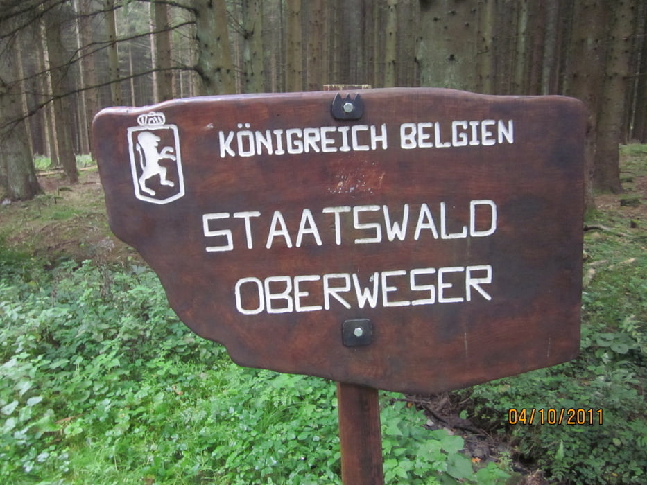 Wald- Bach- und Vennwanderung