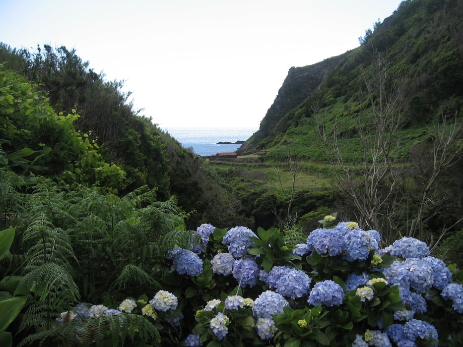 Blick zum Picknickplatz am Meer