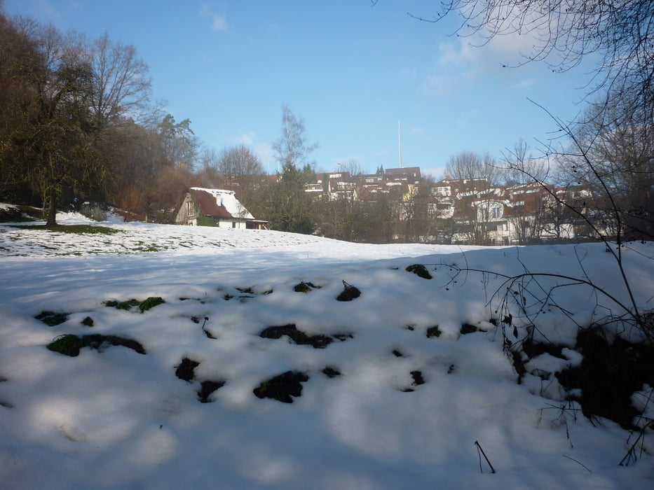 Vorweihnachtstour am Betzenberg