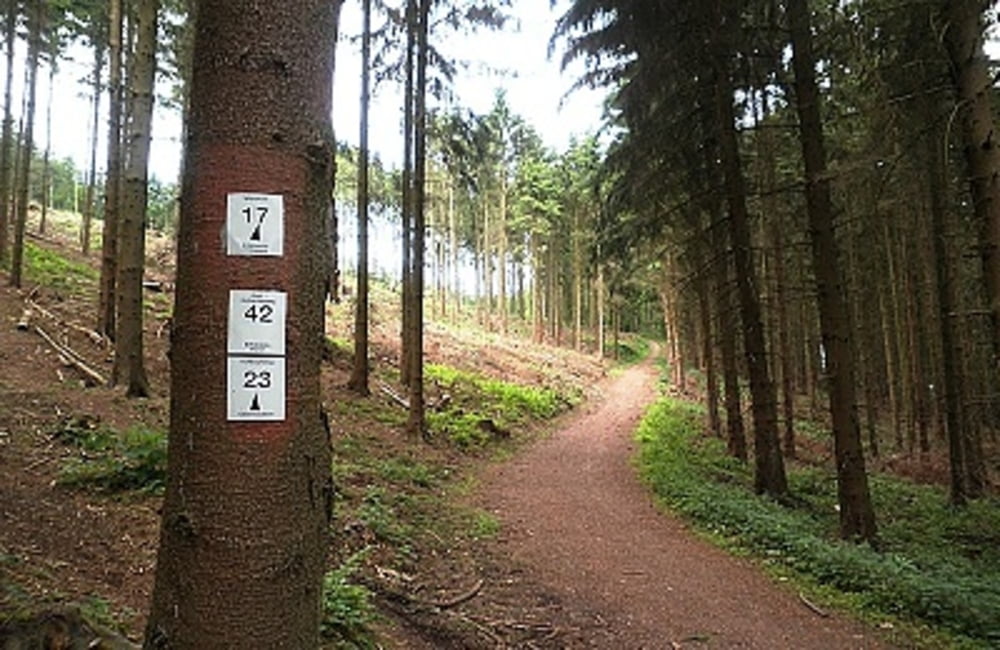 Kuhkopfsteig [23]