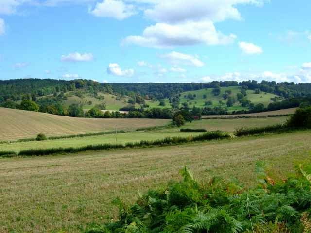Henley Loop