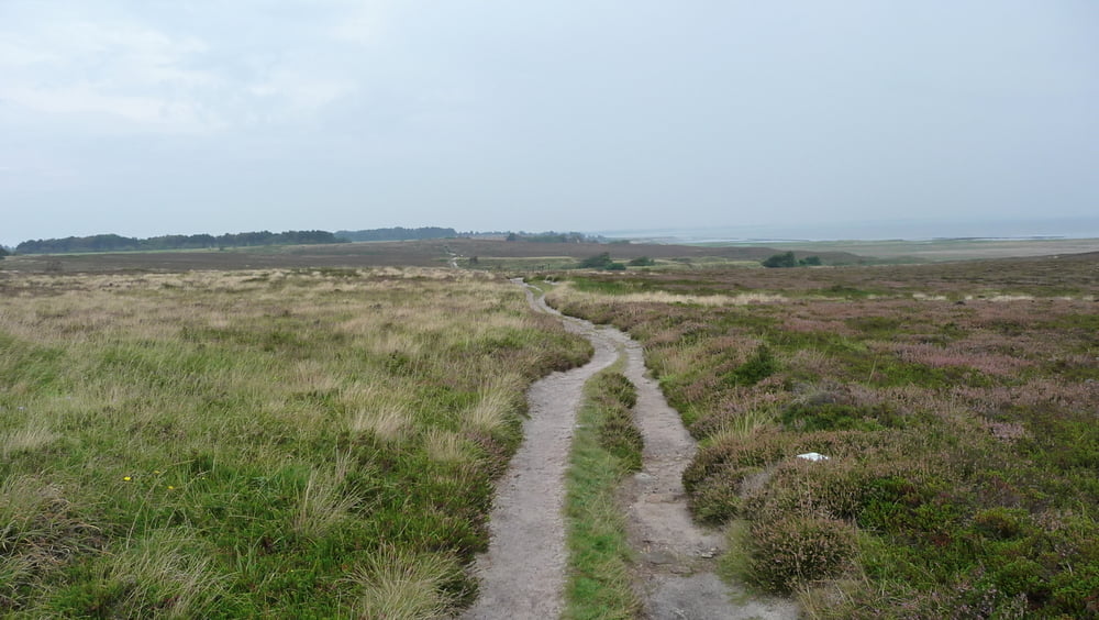 Kampen nach Morsum