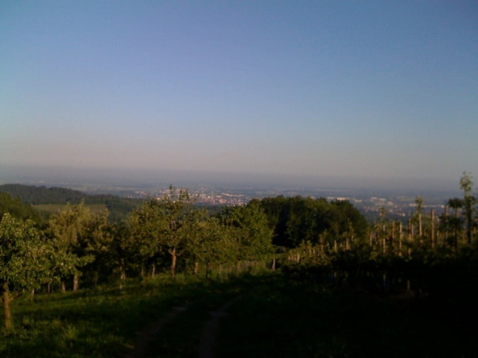 Schönbüchtour