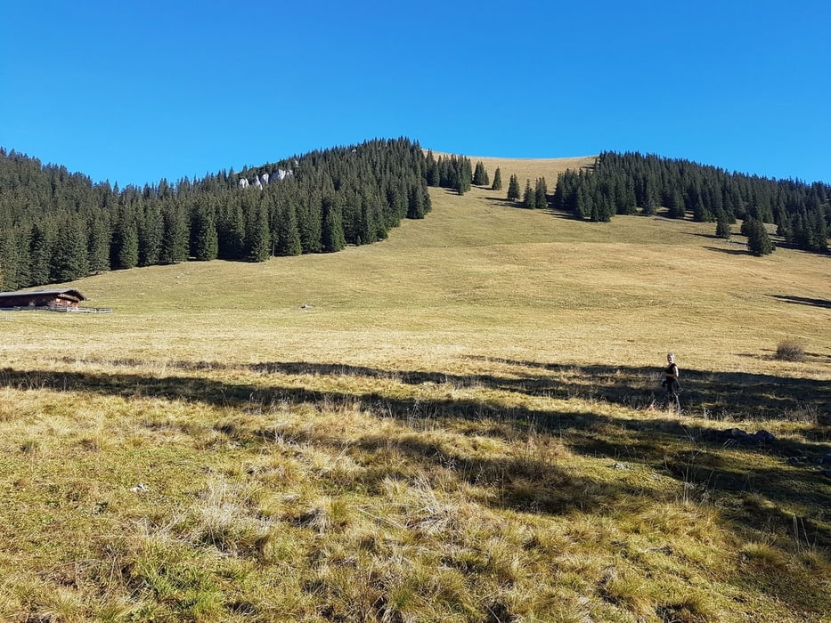 Auf die Bodenschneid