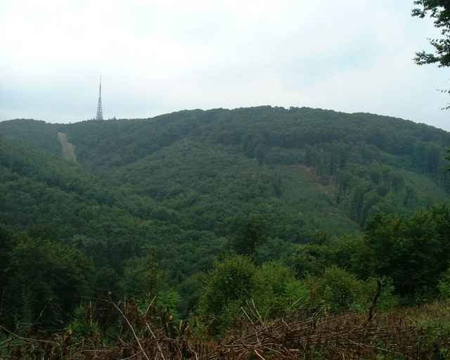 20070820_Okruh Devínska kobyla-Záhorská Bystrica