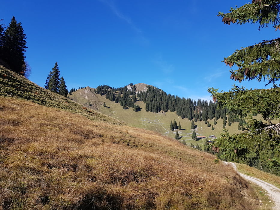 Fockenstein über Stinkergraben - Aueralm