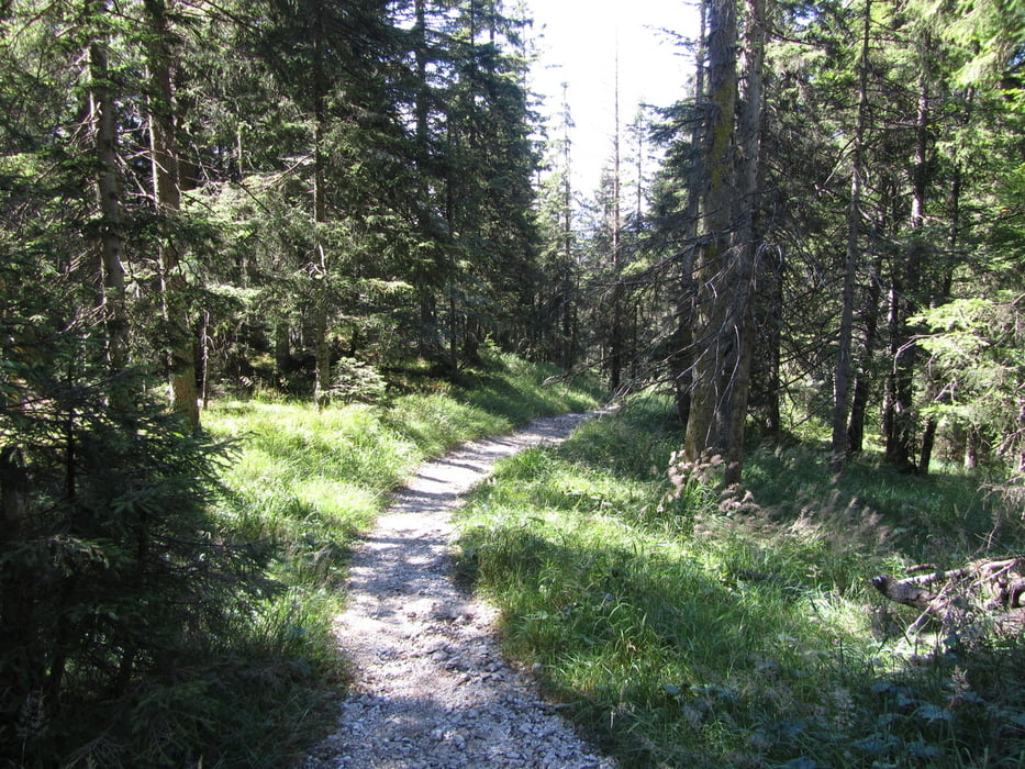 Große Walchenseeumrundung mit vielen Trails