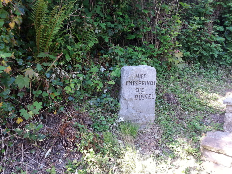 Von der Mündung zur Quelle - Die Düssel