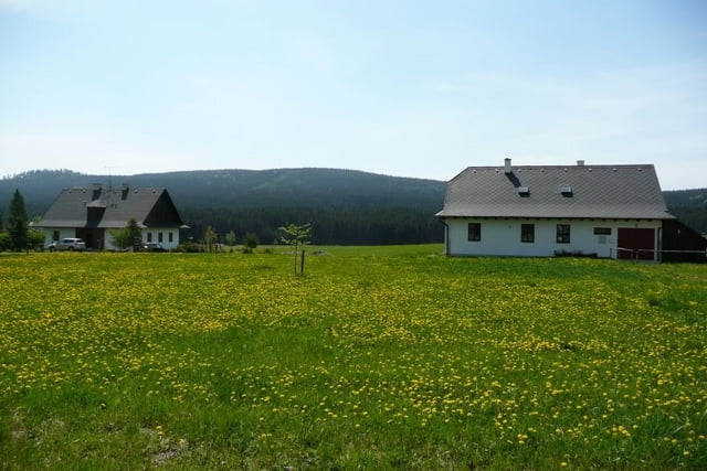 Vysocina_Krizanky_Buchtuv_Kopec