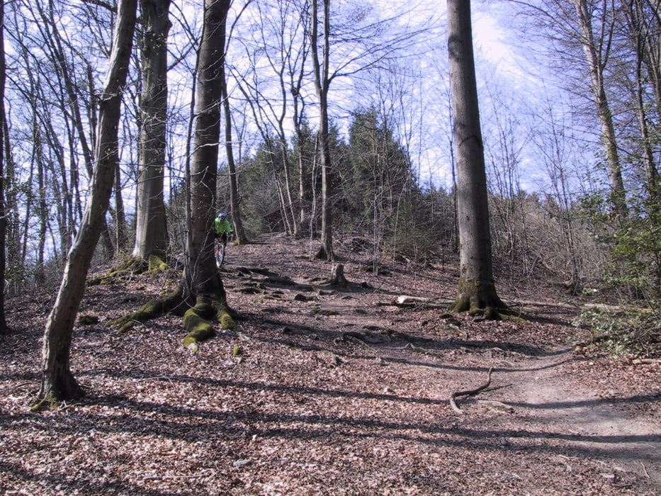 Altenberg Darbringhausen 2