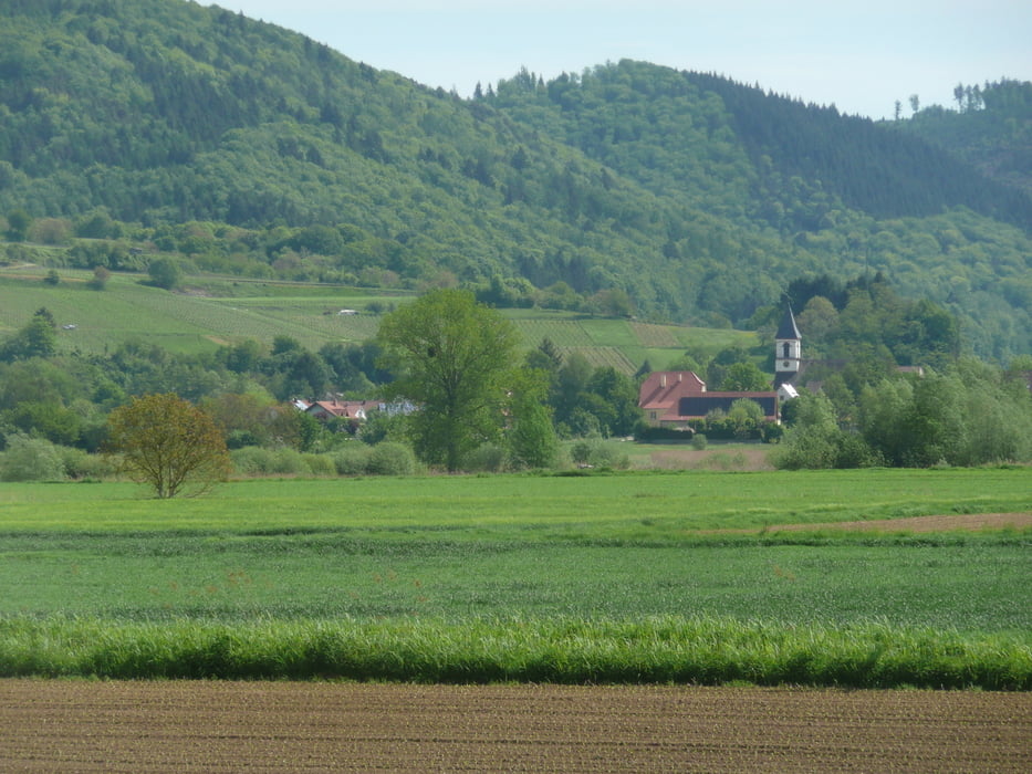 Kenzingen Schweighausen