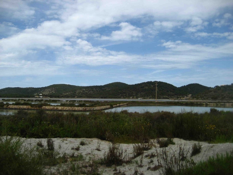 Salines und Platja Cavallet