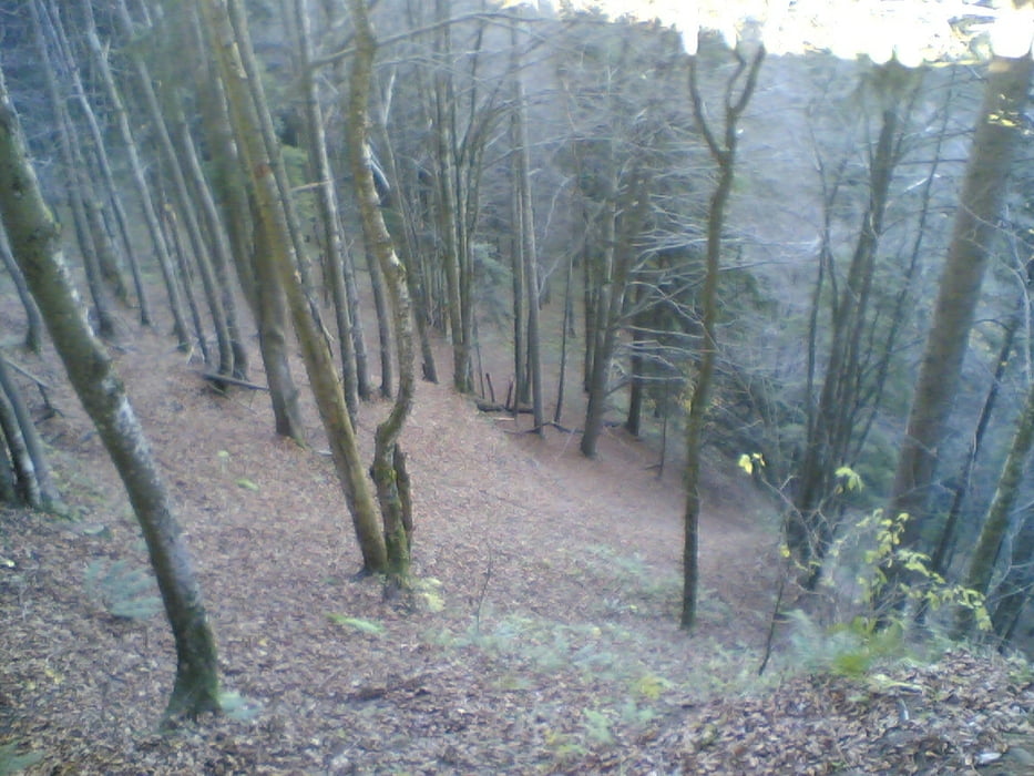 Börwang,Buchenberg,Weitnau,Hauchenberg,Niedersonthofen