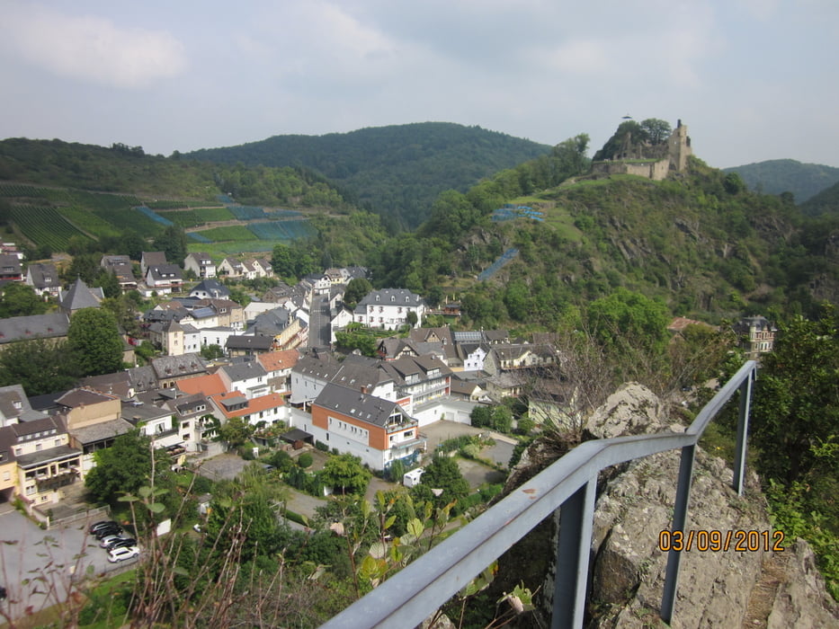 auf single Tracks zum Horn und Teufelsloch (Ahreifel)