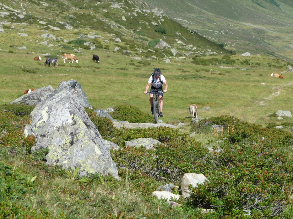 AlpenX Schweiz - Graubünden Bike90 - Teil3