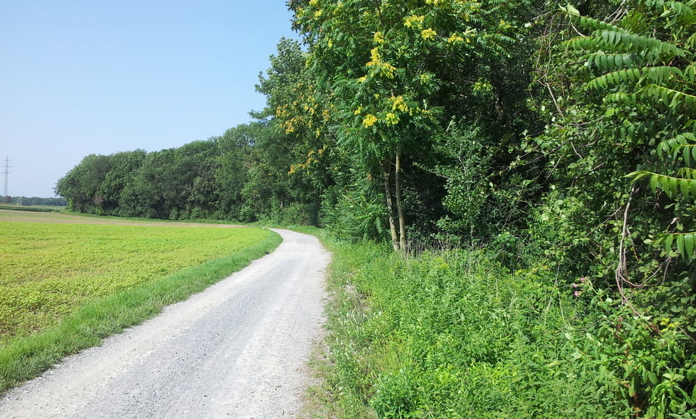 Lichtenwörth