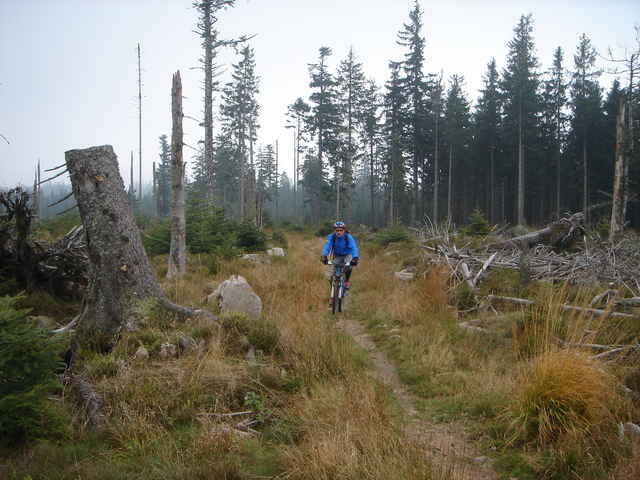Schwarzwälder Höhenradweg West