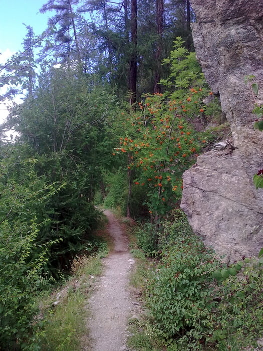 Mitterwaalweg Mals in Vinschgau