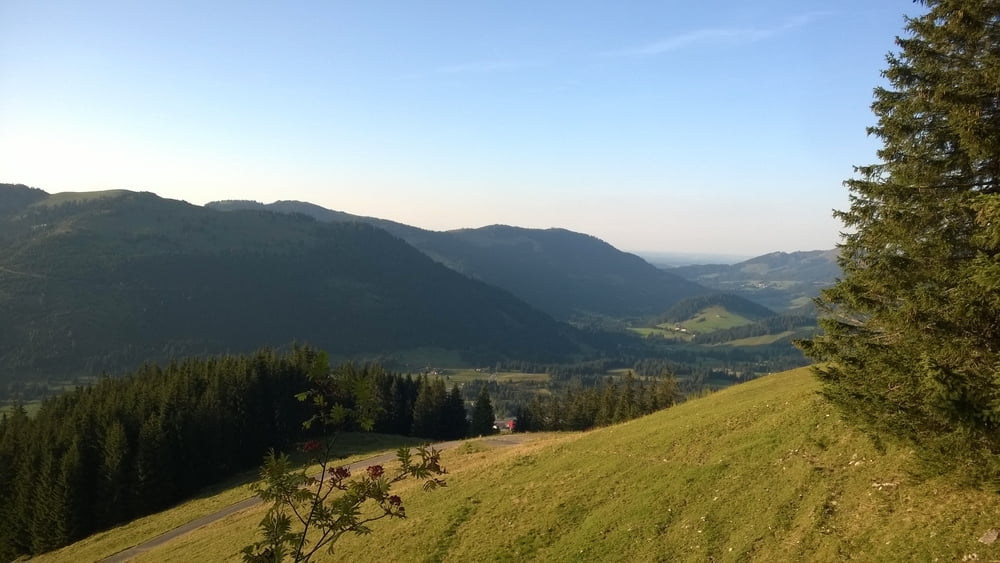 MTB-Trail Tour Allgäu, Palmweg, Alpenrosenköpfle, Hindelang