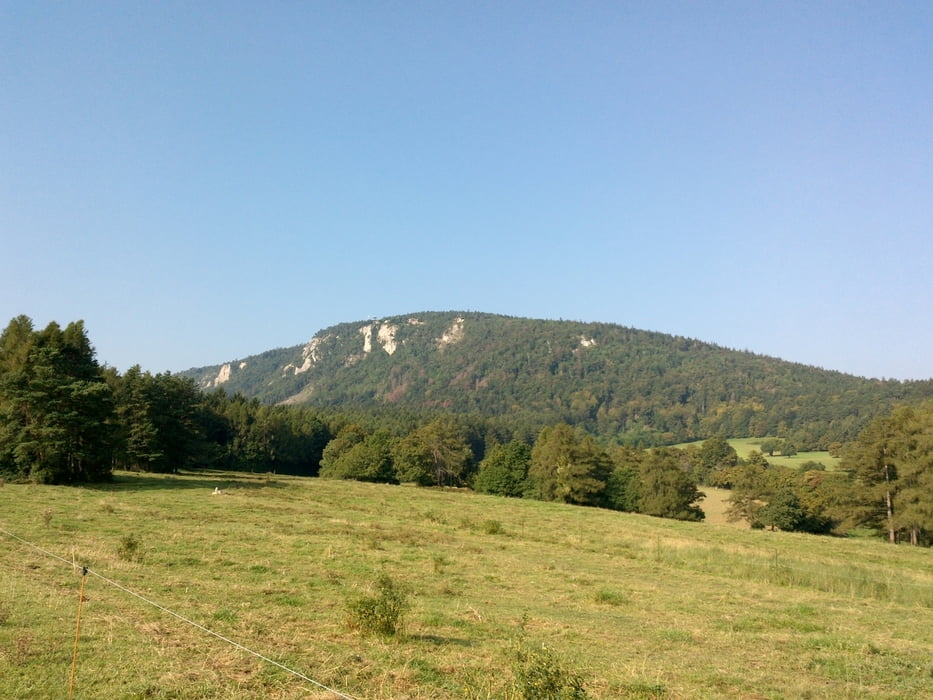 Ein kleiner Ausflug zur Hohen Wand Dreistetten