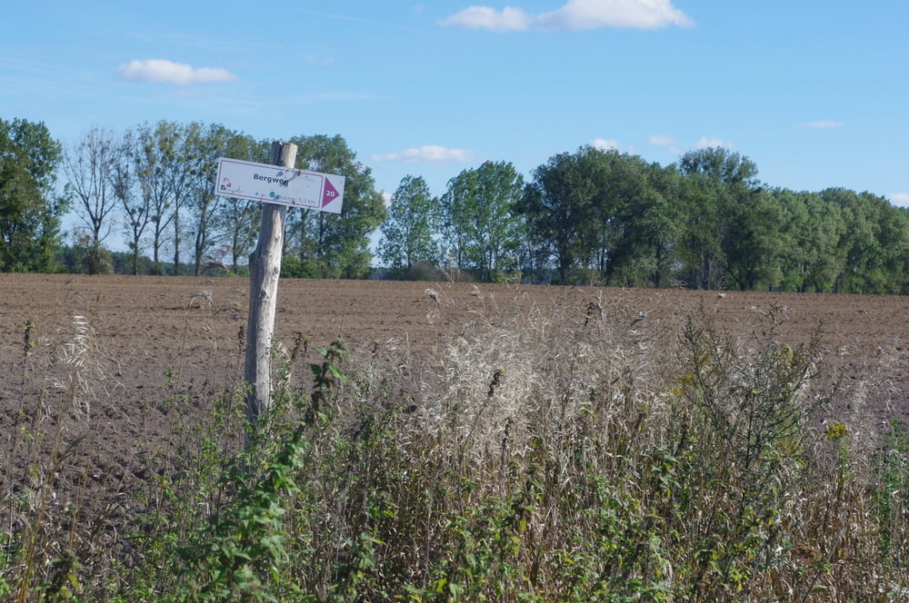 Fläming Walk - Bergweg