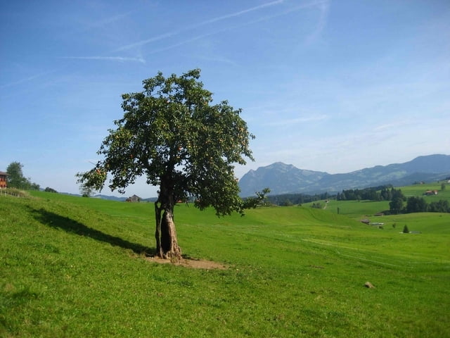 Gemütliche Runde in Obermaiselstein