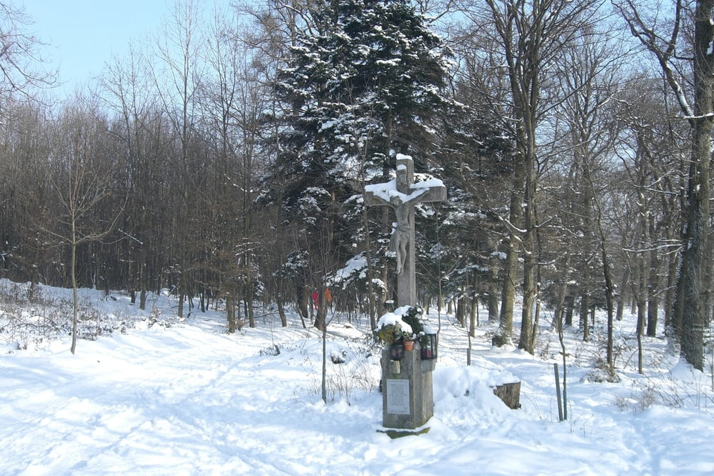 Laab Wienerhütte Wöglerin