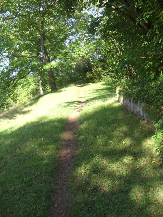 Schonbüchrunde