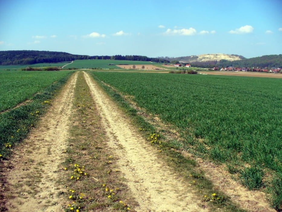 Frühjahrsrunde