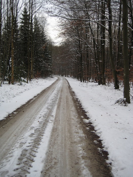 Winterrunde Schammelsdorf (Bamberg)