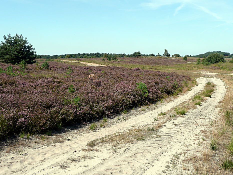 Der größte Sandkasten NRWs