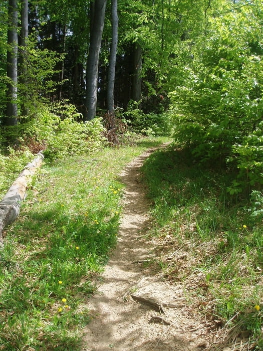 Burgruine Gösting - Plankenwart - Plabutsch