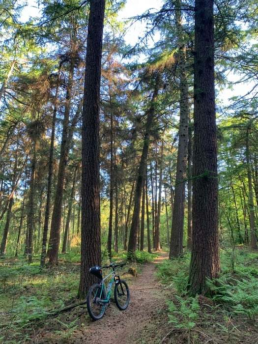 Beimoor Trail