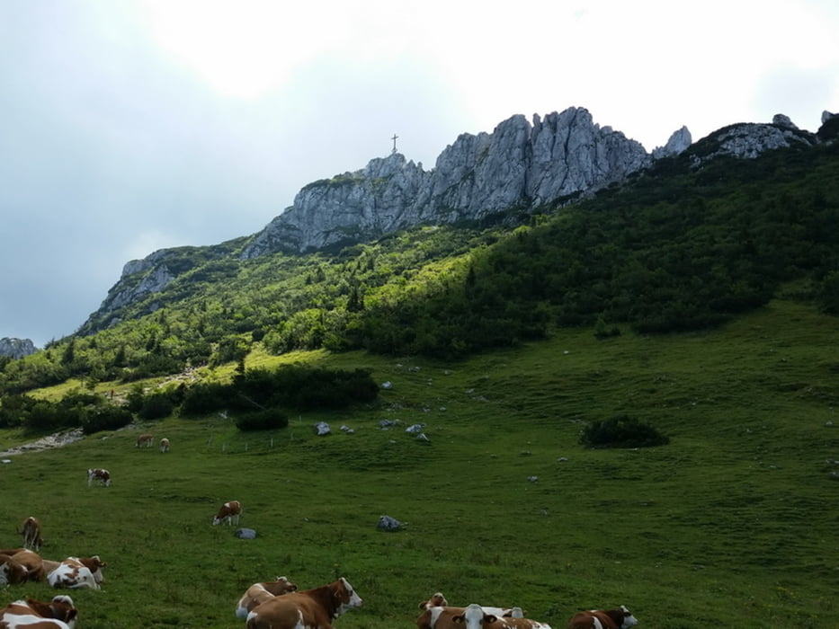 Kampenwand über Steinlingsalm - Talwanderung