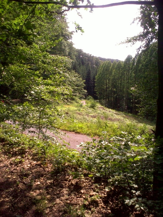 Durch die Kohlfurth