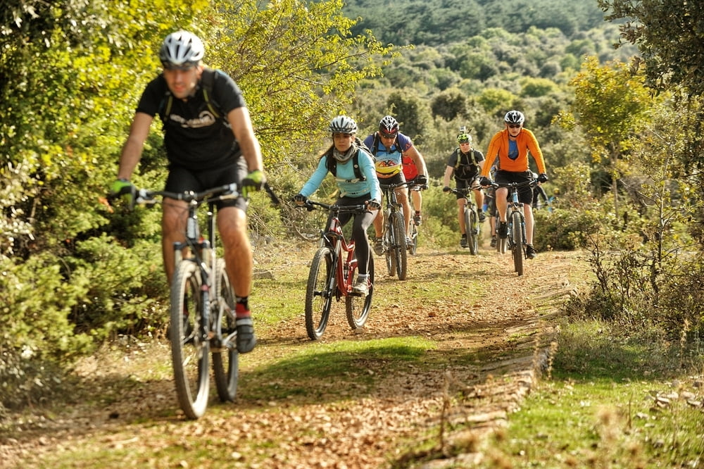 MTB BOL 5