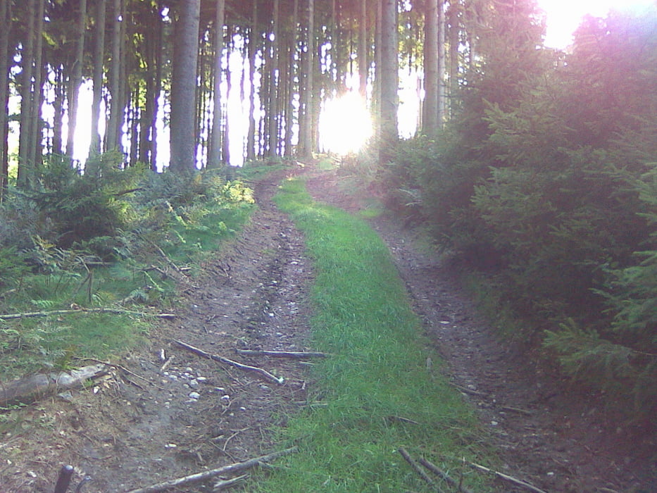 Riegl-Goeblberg-Hofberg Trail