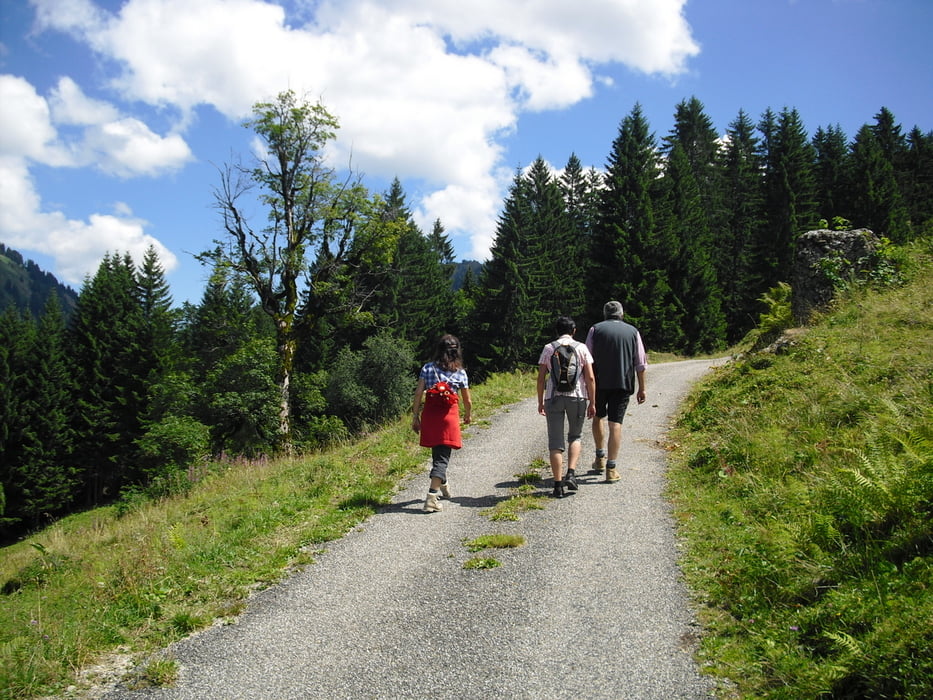 Hittisau-Lecknertal